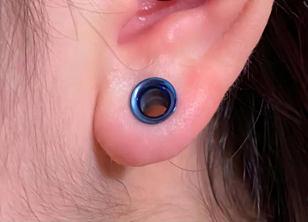 plug earring