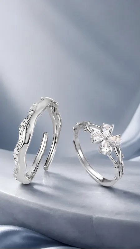 Colección de anillos de plata